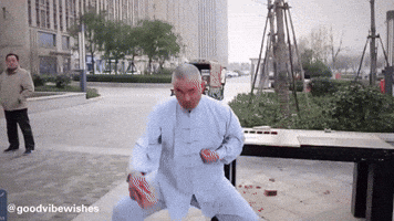 Kung Fu Funny Reaction GIF