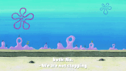 season 9 episode 24 GIF by SpongeBob SquarePants
