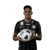 Football Basketball Sticker by SK Sturm Graz
