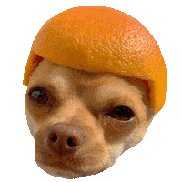 Good Morning Lol Sticker