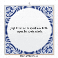 Humor Nl GIF by Tegelspreuken.nl