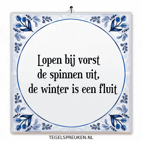 Winter Wijsheid GIF by Tegelspreuken.nl
