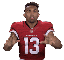 Arizona Cardinals Stickers Sticker by NFL