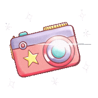 Flash Camara Sticker
