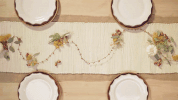 thanksgiving GIF by evite