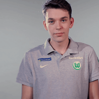 fifa 18 football GIF by VfL Wolfsburg