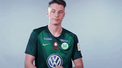fifa 18 football GIF by VfL Wolfsburg