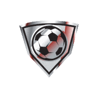 football futbol Sticker by ClaroRD