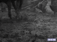Akira Kurosawa Samurai Movie GIF by Turner Classic Movies