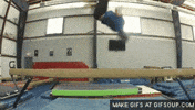 nuts GIF