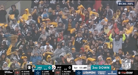 National Football League GIF by NFL