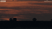 Sun Sunset GIF by BBC Earth