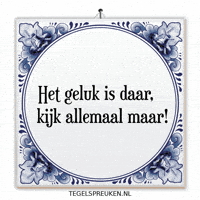 Humor Nl GIF by Tegelspreuken.nl