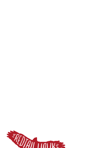 Esc Sticker by ElevatedSurfcraft