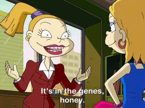 all grown up nicksplat GIF