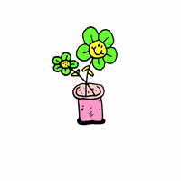 elbepe_ flower plant artworkbylbp GIF
