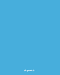 ziriguidumarketing  GIF