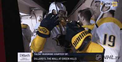 ice hockey GIF by NHL