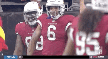 Arizona Cardinals Football GIF by NFL