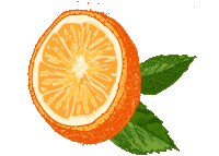 Orange County Florida Sticker by ocfl