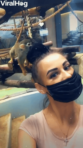 Rambunctious Monkey Snags a Few Lashes