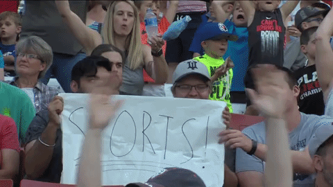 fun baseball GIF by Kane County Cougars