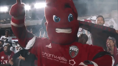 fury fc soccer GIF by Ottawa Fury FC