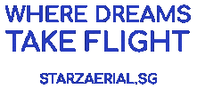 starzaerial starz circus aerial aerialist Sticker