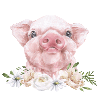 Flower Spring Sticker by P13PaperProducts