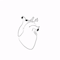 black and white love GIF by xavieralopez