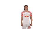 Come Lets Go Sticker by RB Leipzig