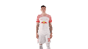 Football Hello Sticker by RB Leipzig