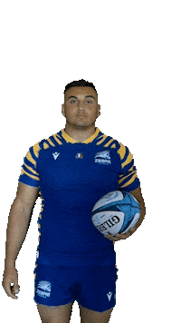 Rugby Italia Sticker by Zebre Parma