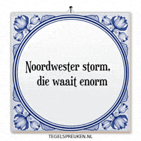 Humor Storm GIF by Tegelspreuken.nl
