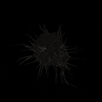 xponentialdesign loop health science organic GIF