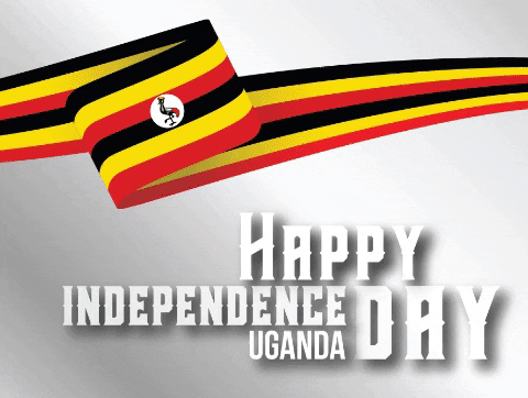 grtcavatar giphygifmaker avatar flag independence day GIF