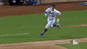 Ny Mets Sport GIF by New York Mets