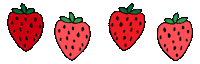 Farmers Market Groceries Sticker