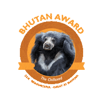 Sleep Friend Sticker by Woodland Park Zoo