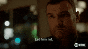 ray donovan drama GIF by Showtime