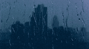 raining GIF
