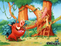 pumba GIF