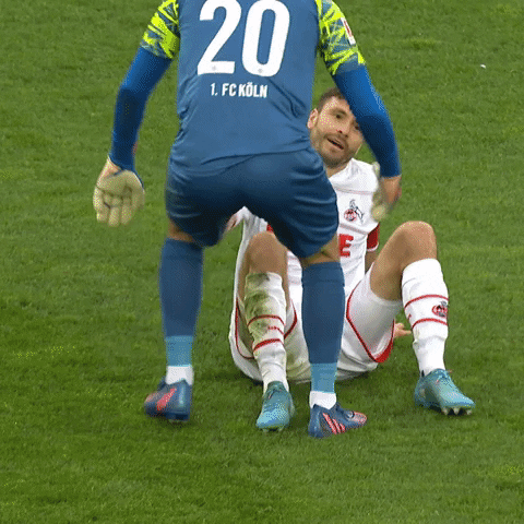 1 Fc Cologne Football GIF by 1. FC Köln