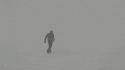 etats-unis blizzard GIF by BFMTV