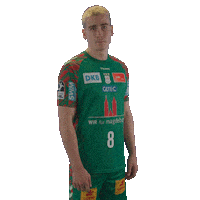 Handball Scm Sticker by DAIKIN HBL