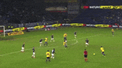 kaiser broendby GIF by Brøndby IF