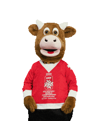 World Cup Referee Sticker by 2020 IIHF Ice Hockey World Championship Switzerland