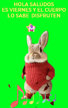 Feliz Lo Sabe GIF by Murcianys LLC