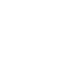Sanyfw Sticker by South Asian New York Fashion Week