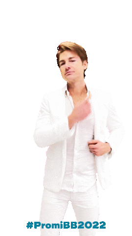 Promibb Promibigbrother Sticker by sat1